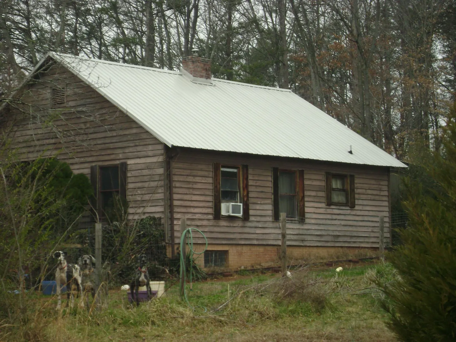White metal roof on an old wood sided farmhouse, from a Asphalt Shingle Roof Repair job in Eola